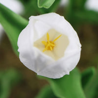 Flowering White Artificial Tulip Plant Arrangement With Ceramic Bowl 35cm Kings Warehouse 