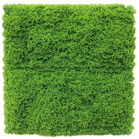 Fresh Natural Green Artificial Moss / Green Wall UV Resistant 1m x 1m New Arrivals Kings Warehouse 