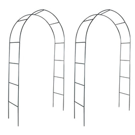Garden Arch 2 pcs Climbing Plants Kings Warehouse 
