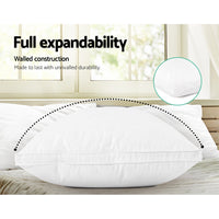 Giselle Bedding Goose Feather Down Twin Pack Pillow Giselle Bedding Kings Warehouse 