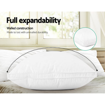 Giselle Bedding Goose Feather Down Twin Pack Pillow Giselle Bedding Kings Warehouse 