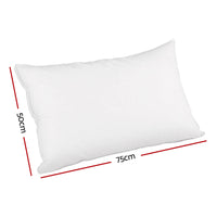 Giselle Bedding Goose Feather Down Twin Pack Pillow Giselle Bedding Kings Warehouse 
