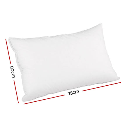 Giselle Bedding Goose Feather Down Twin Pack Pillow Giselle Bedding Kings Warehouse 