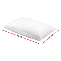 Giselle Bedding Set of 2 Duck Down Pillow - White Bedding Kings Warehouse 