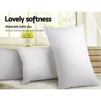 Giselle Bedding Set of 2 Duck Down Pillow - White Bedding Kings Warehouse 