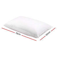 Giselle Bedding Set of 2 Goose Feather and Down Pillow - White Bedding Kings Warehouse 