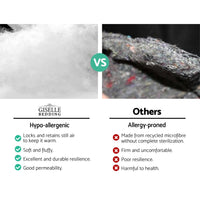 Giselle Queen Mattress Topper Pillowtop 1000GSM Microfibre Filling Protector September Specials Kings Warehouse 