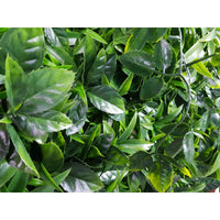 Green Meadows Vertical Garden UV Stabilised 1m X 1m Home & Garden > Artificial Plants Kings Warehouse 
