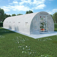 Greenhouse with Steel Foundation 27m? 9x3x2 meters