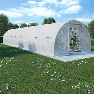 Greenhouse with Steel Foundation 36m? 1200x300x200 cm Kings Warehouse 