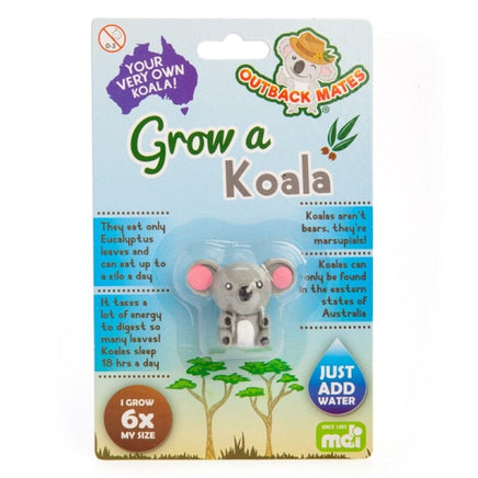 Grow A Koala Kings Warehouse 
