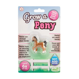 Grow A Pony Kings Warehouse 