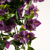 Hanging Artificial Bougainvillea Plant Purple UV Resistant 90cm Kings Warehouse 