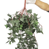 Hanging English Ivy Bush 80cm UV Resistant Kings Warehouse 