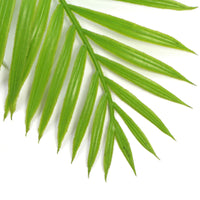 Hanging Fresh Green Bamboo Leaf Fern UV Resistant 80cm New Arrivals Kings Warehouse 
