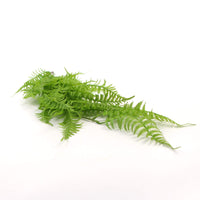 Hanging Fresh Green Boston Fern UV Resistant 80cm New Arrivals Kings Warehouse 