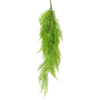 Hanging Fresh Green Boston Fern UV Resistant 80cm New Arrivals Kings Warehouse 