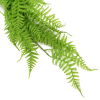 Hanging Fresh Green Boston Fern UV Resistant 80cm New Arrivals Kings Warehouse 