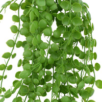 Hanging Pearls 90 cm Home & Garden > Artificial Plants Kings Warehouse 