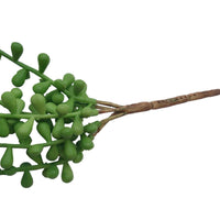 Hanging Succulent String of Pearl Beads 75cm Kings Warehouse 