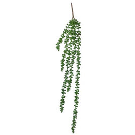 Hanging Succulent String of Pearl Beads 75cm Kings Warehouse 