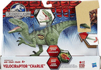 Hasbro Jurassic World Growler Velociraptor  Charlie With Sound and Lights 4+ Kings Warehouse 