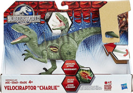 Hasbro Jurassic World Growler Velociraptor  Charlie With Sound and Lights 4+ Kings Warehouse 