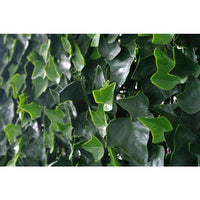 Ivy Leaf Screens - Panels UV Stabilised 1m X 1m Kings Warehouse 