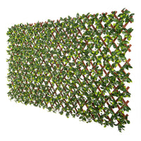 Jasmine Artificial Hedge Extendable Trellis / Screen 2 Meter By 1 Meter UV Resistant (PVC) Kings Warehouse 