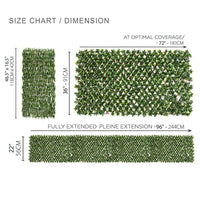 Jasmine Artificial Hedge Extendable Trellis / Screen 2 Meter By 1 Meter UV Resistant (PVC) Kings Warehouse 