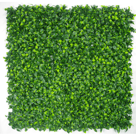 Jasmine Leaf Screens / Panels UV Stabilised 1m X 1m Home & Garden > Artificial Plants Kings Warehouse 