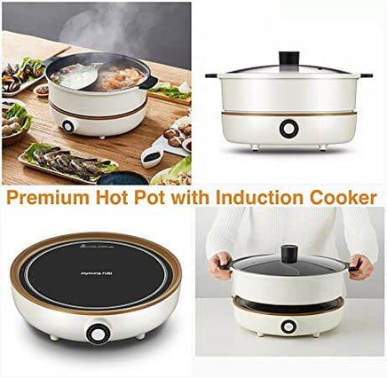 Joyoung IH Induction Cooker with Hot Pot C21-CL01, 300W-2100W Adjustable Power Supply, Separated Pot and Stove Kings Warehouse 