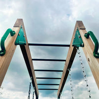 Kids Daintree 2-in-1 Monkey Bars & Swing Set Kings Warehouse 