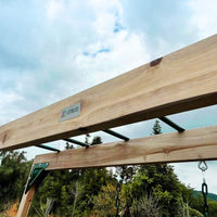 Kids Daintree 2-in-1 Monkey Bars & Swing Set Kings Warehouse 