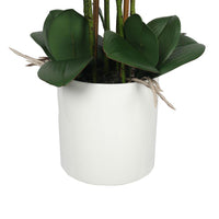 Large Multi-Stem White Potted Faux Orchid 65cm Decor Kings Warehouse 