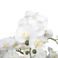 Large Multi-Stem White Potted Faux Orchid 65cm Decor Kings Warehouse 