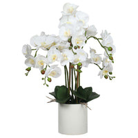 Large Multi-Stem White Potted Faux Orchid 65cm Decor Kings Warehouse 