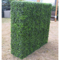 Large Portable Boxwood Hedges UV Stabilised 1.5m By 1.5m Kings Warehouse 