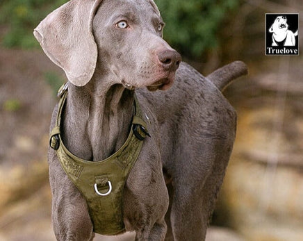 Lightweight Harness Army Green L Kings Warehouse 