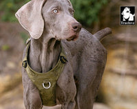 Lightweight Harness Army Green XL Kings Warehouse 