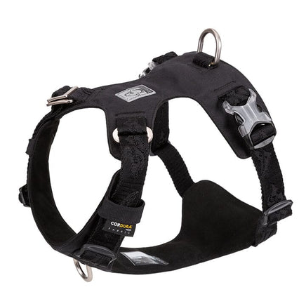 Lightweight Harness Black S Kings Warehouse 