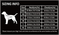 Lightweight Harness Black S Kings Warehouse 