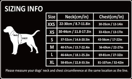 Lightweight Harness Black S Kings Warehouse 