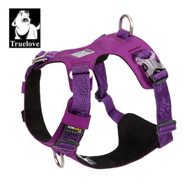 Lightweight Harness Purple XL Kings Warehouse