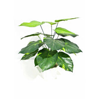 Lily Stem 32cm Kings Warehouse 