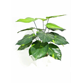 Lily Stem 32cm Kings Warehouse 