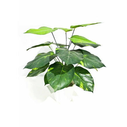 Lily Stem 32cm Kings Warehouse 