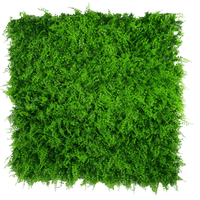 Mediterranean Fern Vertical Garden UV Stabilised 1m X 1m Home & Garden > Artificial Plants Kings Warehouse 