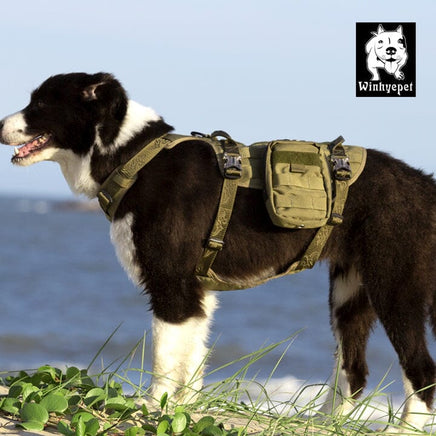 Military Harness Army Green XL Kings Warehouse 