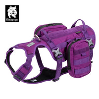 Military Harness Purple L Kings Warehouse 